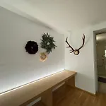 Appartamento Dengg Down Town Deluxe *