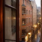 Dengg Down Town Deluxe