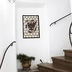 Dengg Down Town Deluxe *